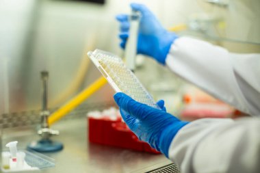 hücre kültürü ve mikrobiyoloji laboratuvarı 