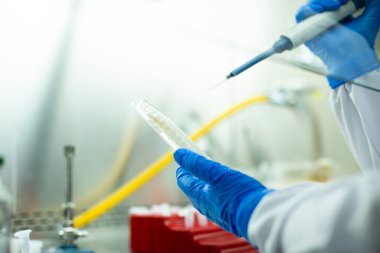 hücre kültürü ve mikrobiyoloji laboratuvarı 