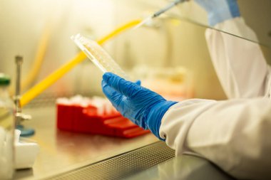 hücre kültürü ve mikrobiyoloji laboratuvarı 