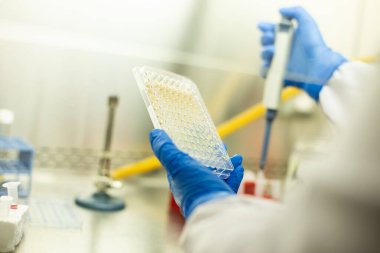 hücre kültürü ve mikrobiyoloji laboratuvarı 