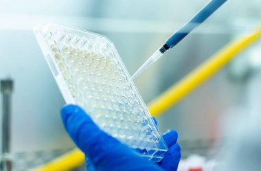 hücre kültürü ve mikrobiyoloji laboratuvarı 