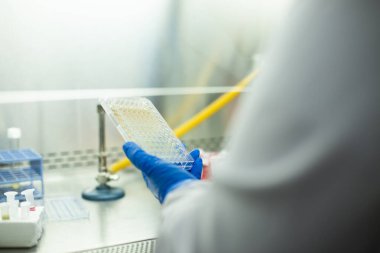 hücre kültürü ve mikrobiyoloji laboratuvarı 