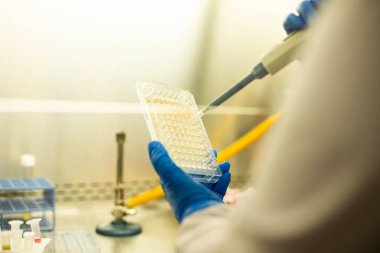 hücre kültürü ve mikrobiyoloji laboratuvarı 