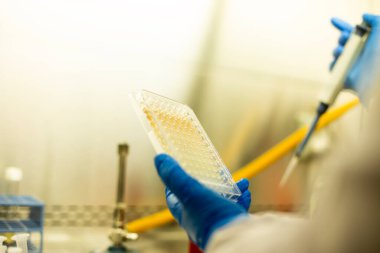 hücre kültürü ve mikrobiyoloji laboratuvarı 