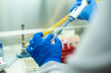 hücre kültürü ve mikrobiyoloji laboratuvarı 