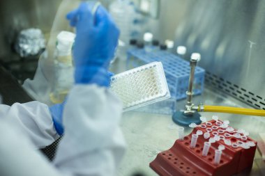 hücre kültürü ve mikrobiyoloji laboratuvarı 