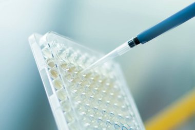 hücre kültürü ve mikrobiyoloji laboratuvarı 