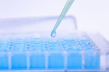 Tıp ve hücre kültürü laboratuarında hücre kültürü