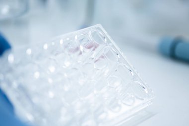 Tıp ve hücre kültürü laboratuarında hücre kültürü