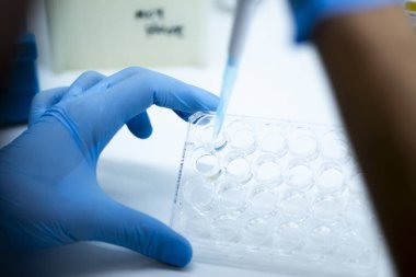 Tıp ve hücre kültürü laboratuarında hücre kültürü