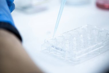 Tıp ve hücre kültürü laboratuarında hücre kültürü