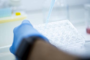 Tıp ve hücre kültürü laboratuarında hücre kültürü