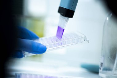 Tıp ve hücre kültürü laboratuarında hücre kültürü