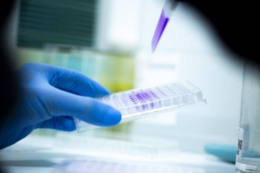 Tıp ve hücre kültürü laboratuarında hücre kültürü