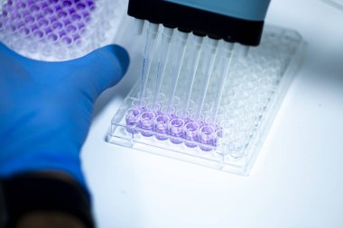 Biyoloji, genetik ve hücre kültürü laboratuvarında hücre kültürü