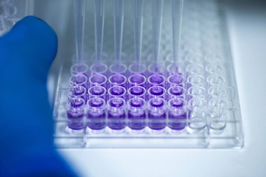 Biyoloji, genetik ve hücre kültürü laboratuvarında hücre kültürü