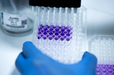 Biyoloji, genetik ve hücre kültürü laboratuvarında hücre kültürü