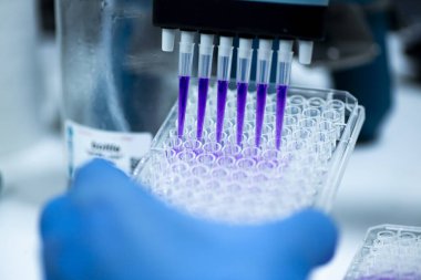 Biyoloji, genetik ve hücre kültürü laboratuvarında hücre kültürü