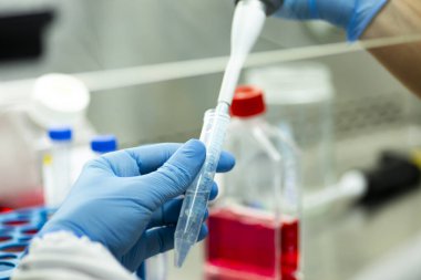 Biyoloji, genetik ve hücre kültürü laboratuvarında hücre kültürü