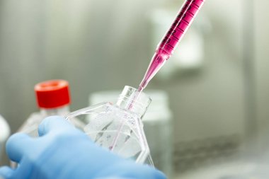 Genetik ve biyomühendislik laboratuvarında bilimsel araştırma