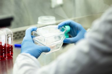 Genetik ve biyomühendislik laboratuvarında bilimsel araştırma