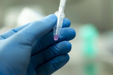 Genetik ve biyomühendislik laboratuvarında bilimsel araştırma