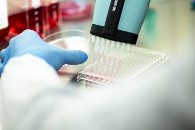 Genetik ve biyomühendislik laboratuvarında bilimsel araştırma