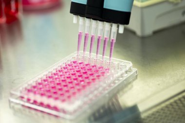 Tıp ve hücre kültürü laboratuarında hücre kültürü