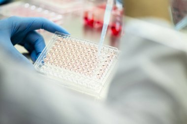 Tıp ve hücre kültürü laboratuarında hücre kültürü