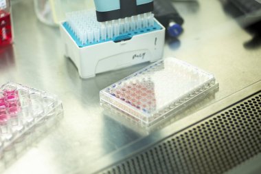 Tıp ve hücre kültürü laboratuarında hücre kültürü