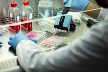 Tıp ve hücre kültürü laboratuarında hücre kültürü