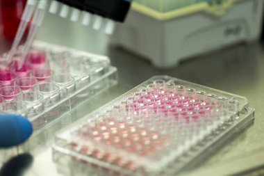 Tıp ve hücre kültürü laboratuarında hücre kültürü