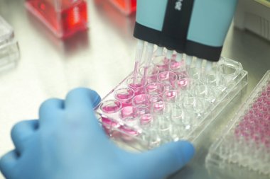 Laboratuvarda tıp, tıbbi araştırma.