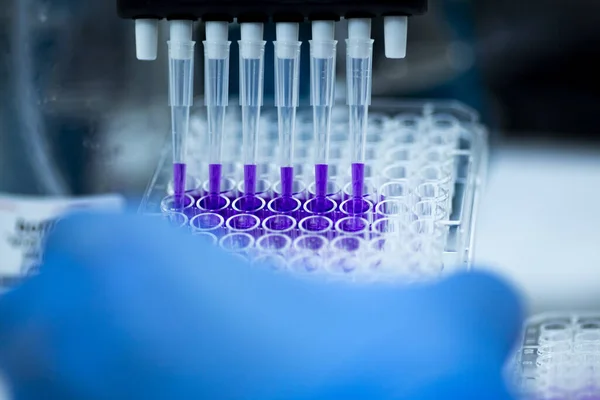 cell culture at the biology, genetic and cell culture laboratory