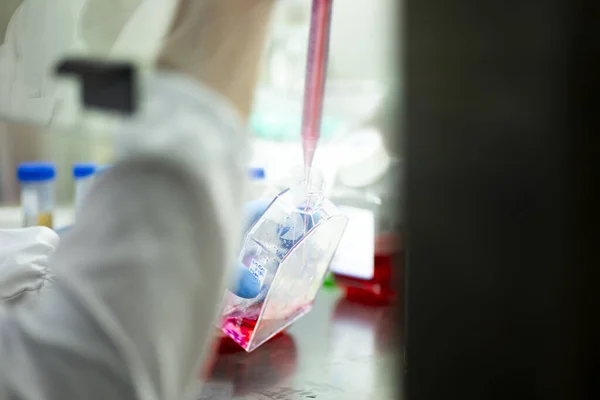 cell culture at the biology, genetic and cell culture laboratory