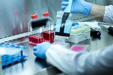 Laboratuvarda mikro pipetle hücre kültürü.