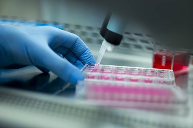 Laboratuvarda bilim araştırması.