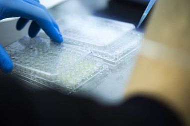 Laboratuvarda bilim araştırması.