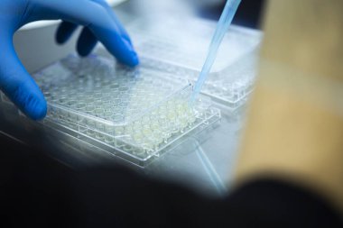 Laboratuvarda bilim araştırması.