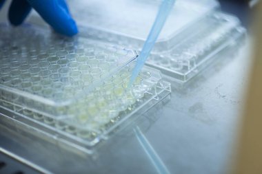 Laboratuvarda bilim araştırması.