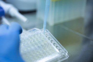 Laboratuvarda bilim araştırması.