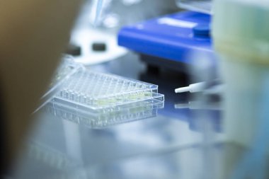 Laboratuvarda bilim araştırması.