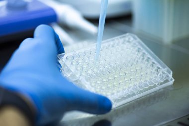 Laboratuvarda bilim araştırması.