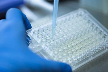 Tıp ve hücre kültürü laboratuarında hücre kültürü