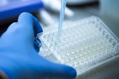 Tıp ve hücre kültürü laboratuarında hücre kültürü