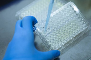 Tıp ve hücre kültürü laboratuarında hücre kültürü