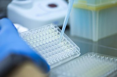 Tıp ve hücre kültürü laboratuarında hücre kültürü