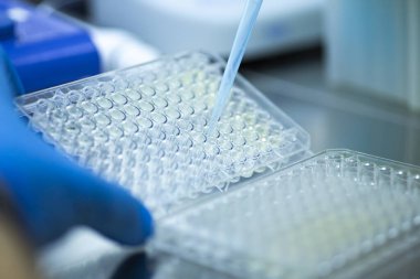 Tıp ve hücre kültürü laboratuarında hücre kültürü