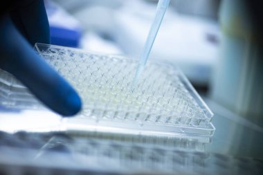 Tıp ve hücre kültürü laboratuarında hücre kültürü