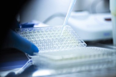 Tıp ve hücre kültürü laboratuarında hücre kültürü